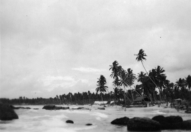 Tropical island in Pacific